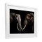 Stupell Industries Pachyderm Elephant Pair Framed Print Under Glass, design by Decent Exposures
